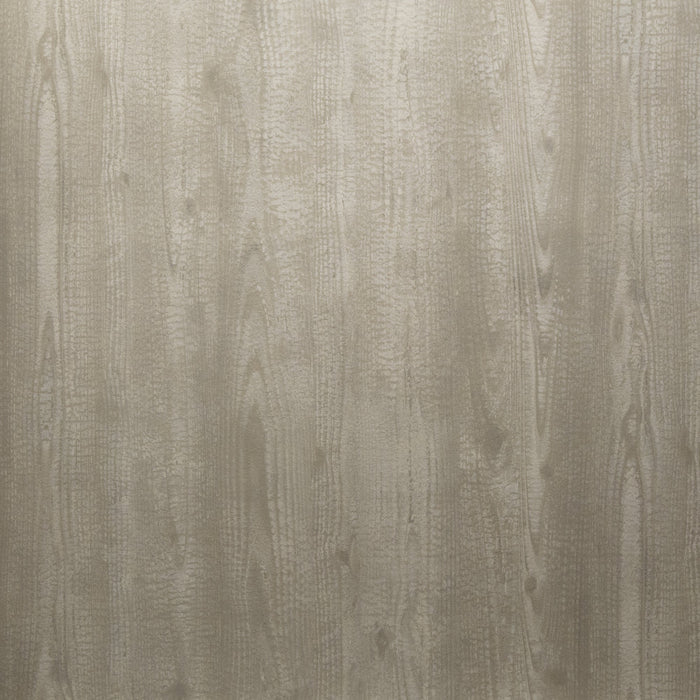 Maya Romanoff Natural Elements Carbonized Silver Birch Wallpaper Sample MR-NE-1222