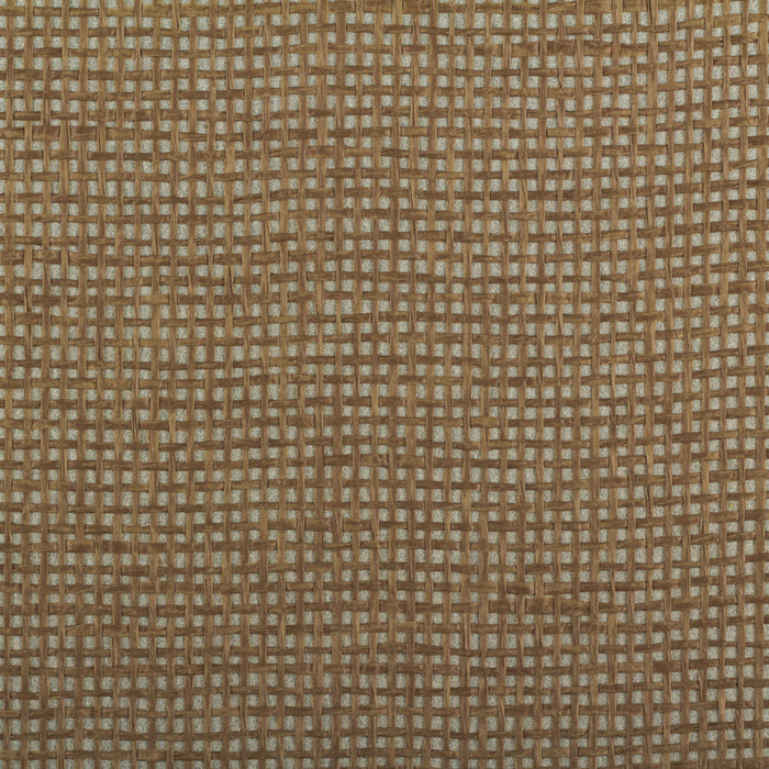 Maya Romanoff Island Weaves Mangrove Wallpaper Sample MR-TY-2016