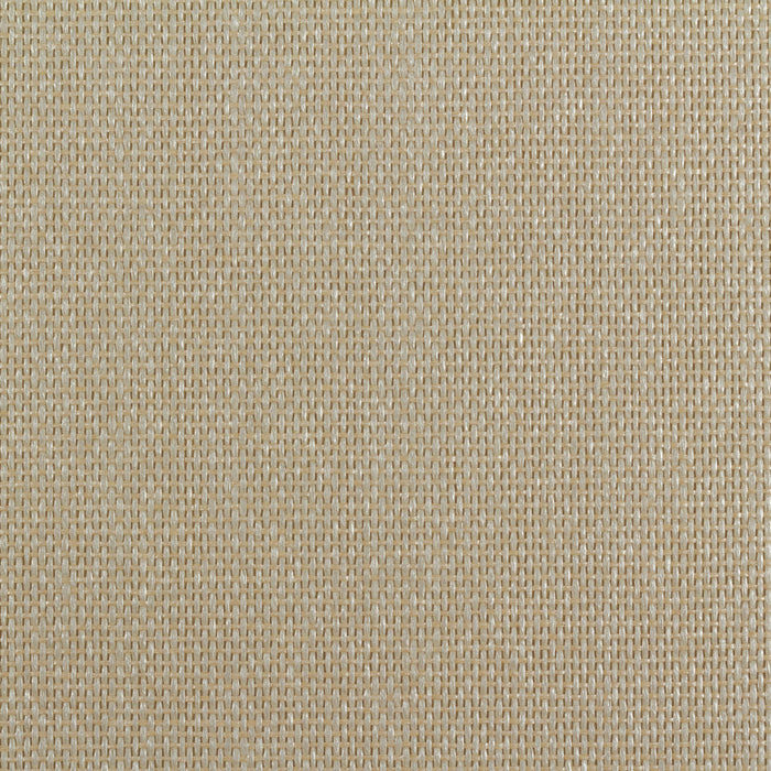 Maya Romanoff Island Weaves Pelican Wallpaper Sample MR-TY-2048