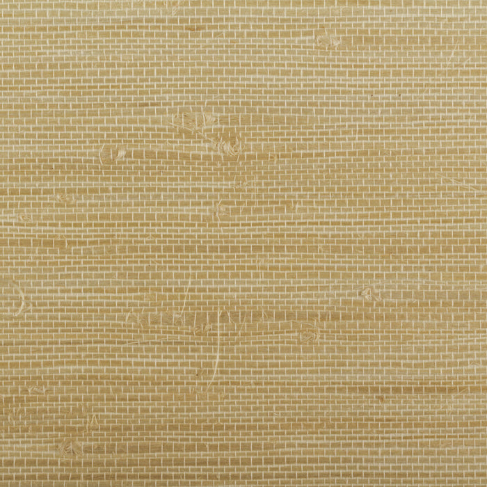 Maya Romanoff Island Weaves Macadamia Wallpaper Sample MR-TY-2054