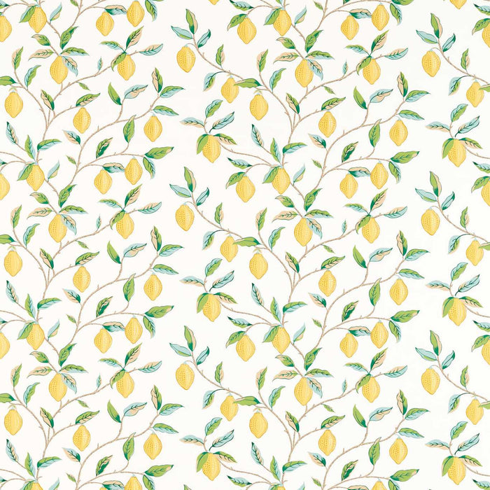 Morris & Co Lemon Tree Lemon Tree Lemon/ Bayleaf 226909 Fabric Sample MSIM226909