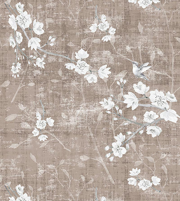 Nicolette Mayer Blossom Fantasia - Sheer Mocha Fabric Sample N4 1040BL10