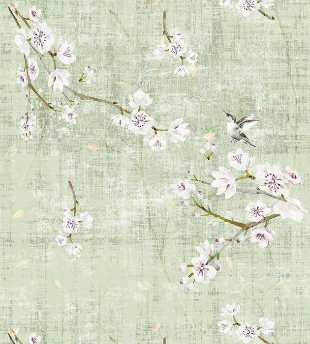 Nicolette Mayer Blossom Fantasia - Sheer Celadon Fabric Sample N4 1055BL10