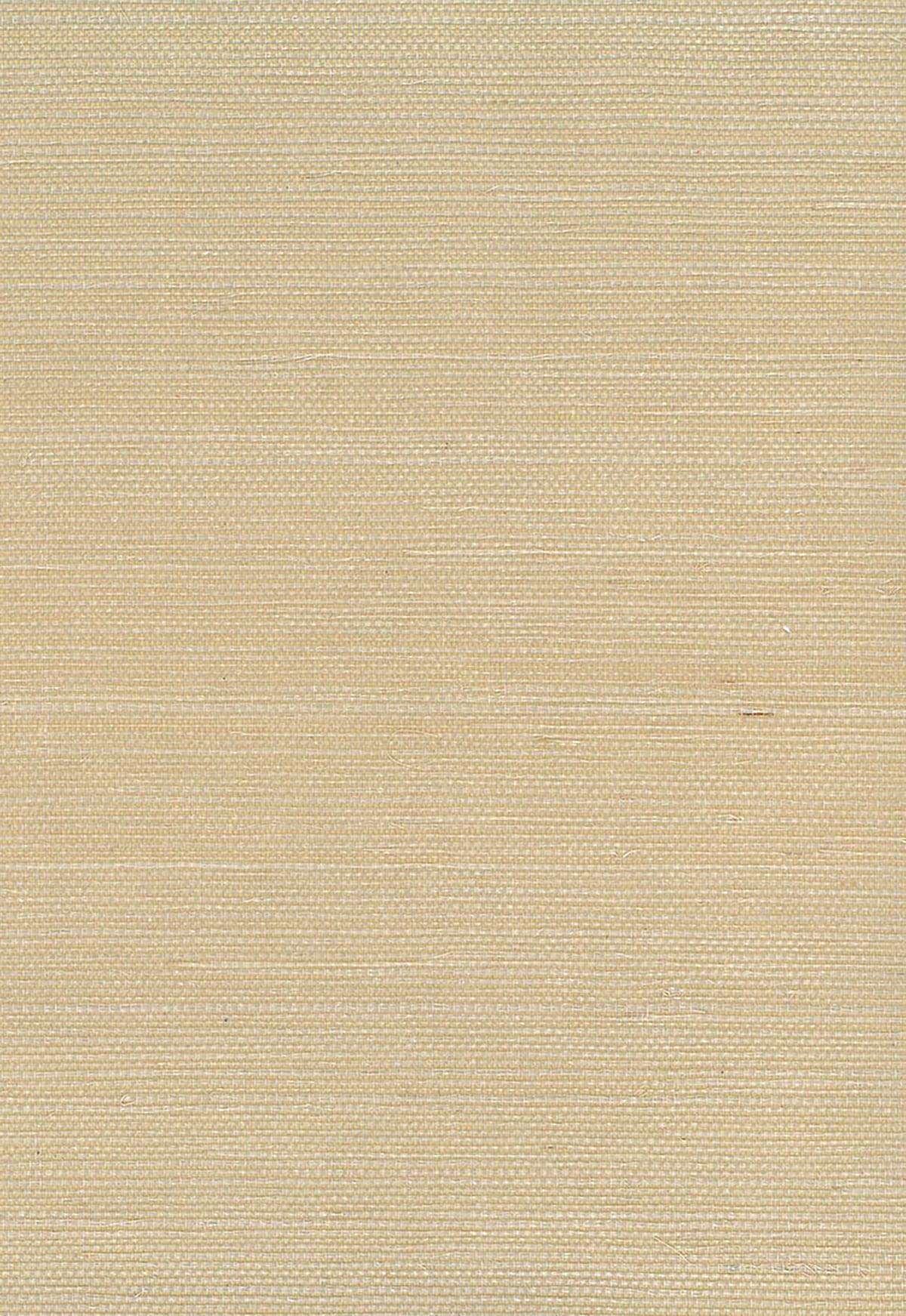 Seabrook Designs Sisal Neutrals Wallpaper Sample NA206