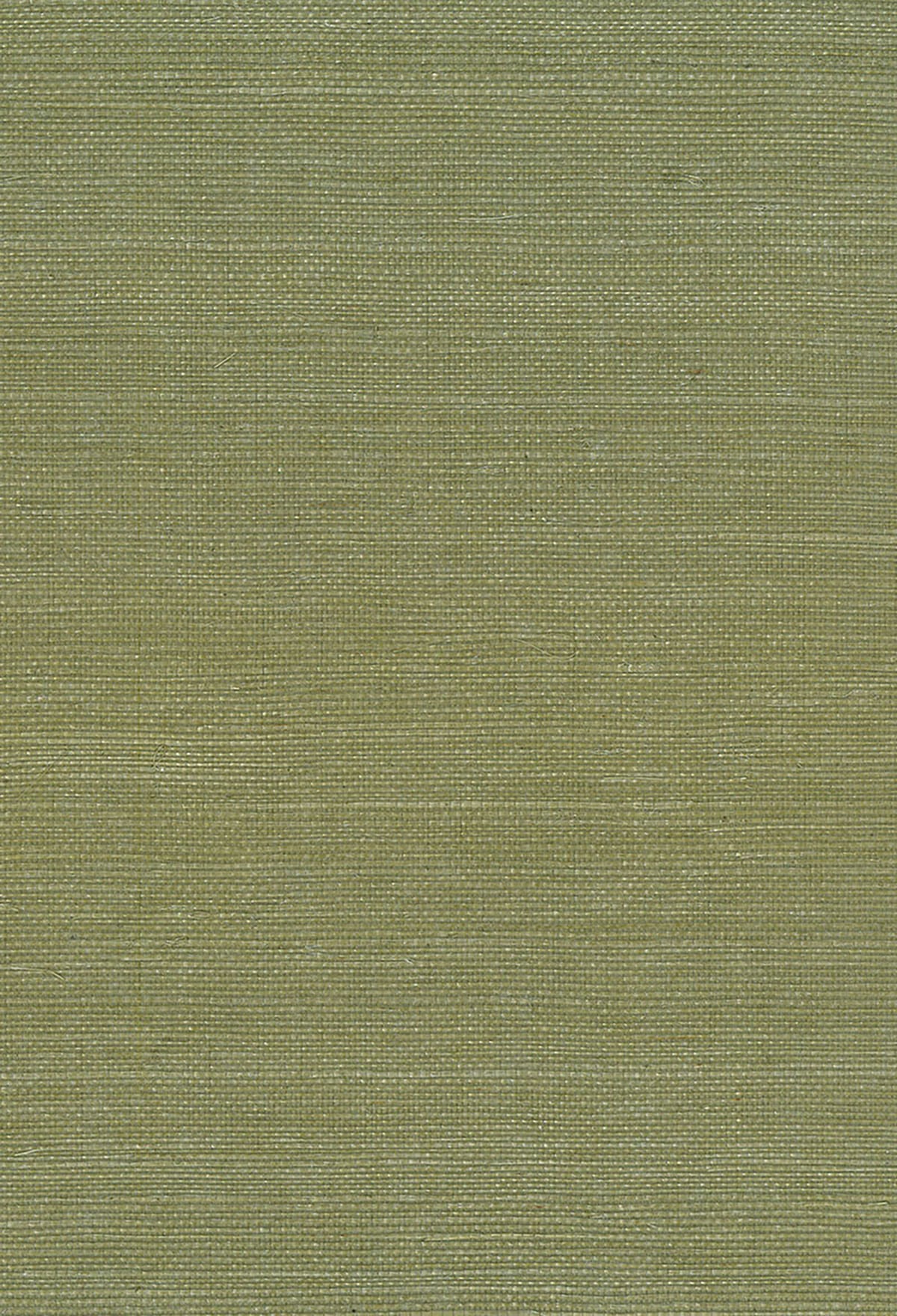 Seabrook Designs Sisal Green Wallpaper Sample NA208