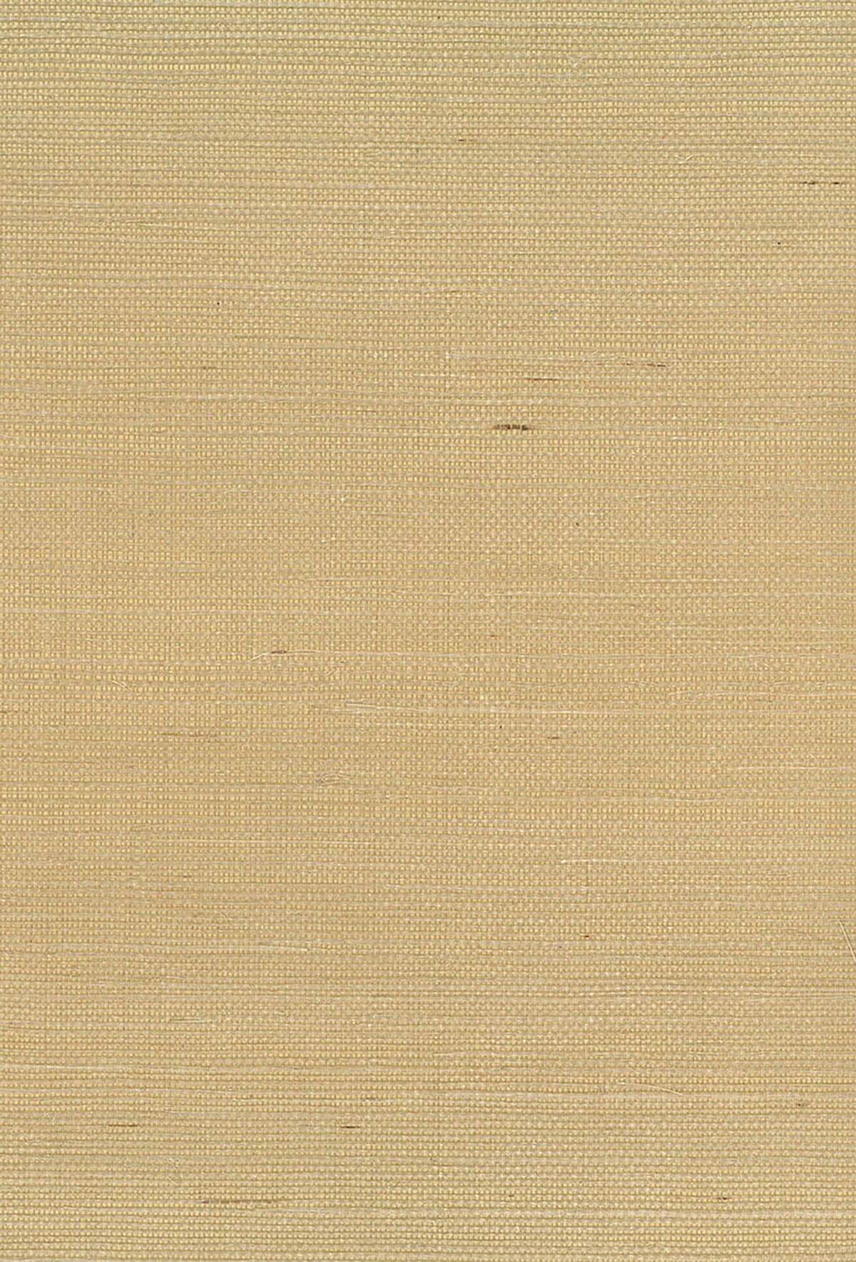 Seabrook Designs Sisal Brown Wallpaper Sample NA211