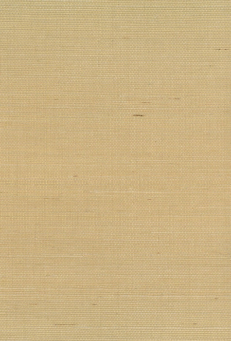 Seabrook Designs Sisal Brown Wallpaper NA211