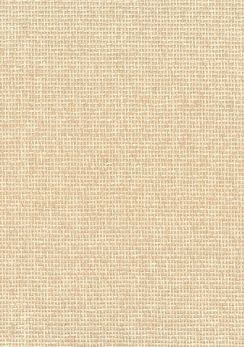 Seabrook Designs Paperweave Neutrals Wallpaper Sample NA506