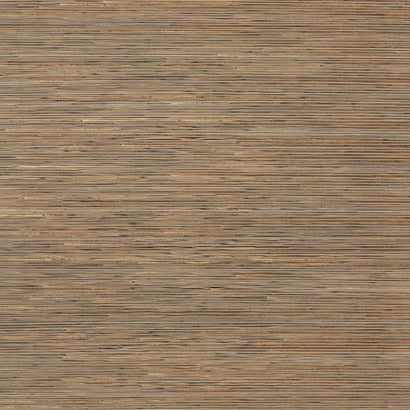 York Bamboo Black Wallpaper NT6101