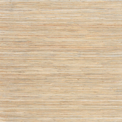 York Bamboo White Wallpaper NT6103