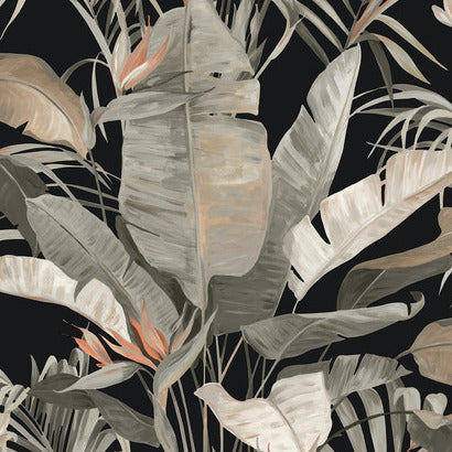 York Tropical Black Wallpaper NT6135