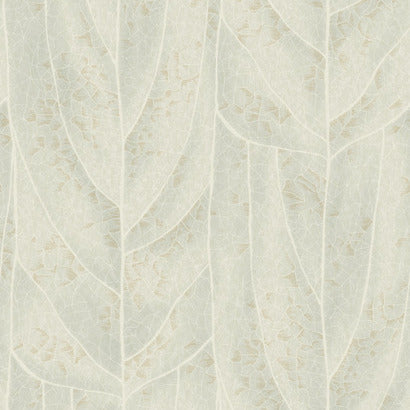 York Dicot Light Green Wallpaper NT6142