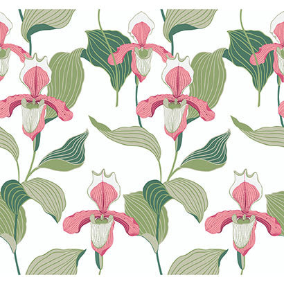 York Lady Slipper Coral & Green Wallpaper NV5525