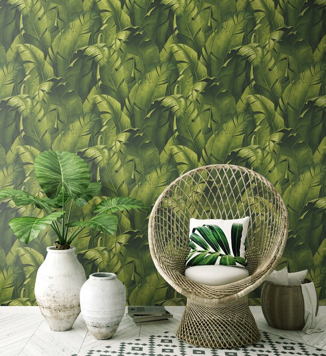 NextWall Tropical Banana Leaves Green Wallpaper Sample NW31000