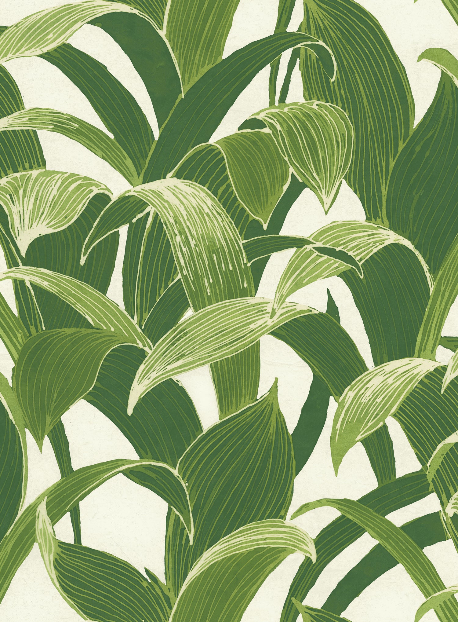 NextWall Banana Groves Green & White Wallpaper NW31300