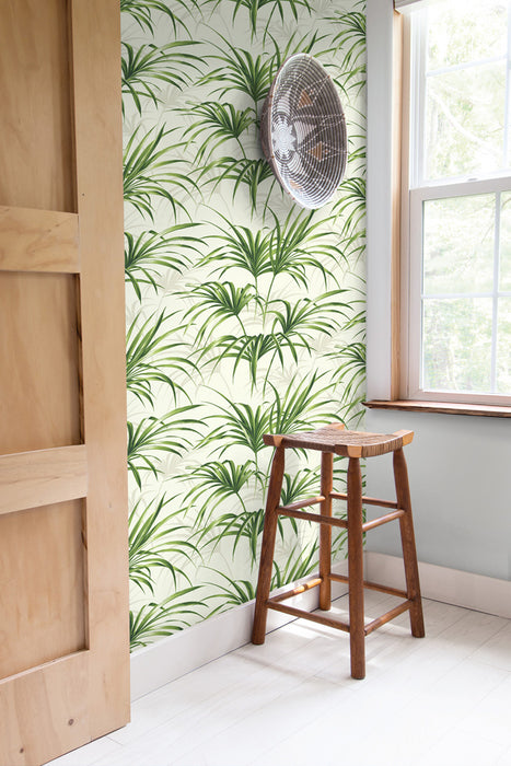 NextWall Tropical Palm Leaf Green And Off-white Wallpaper Sample NW32504