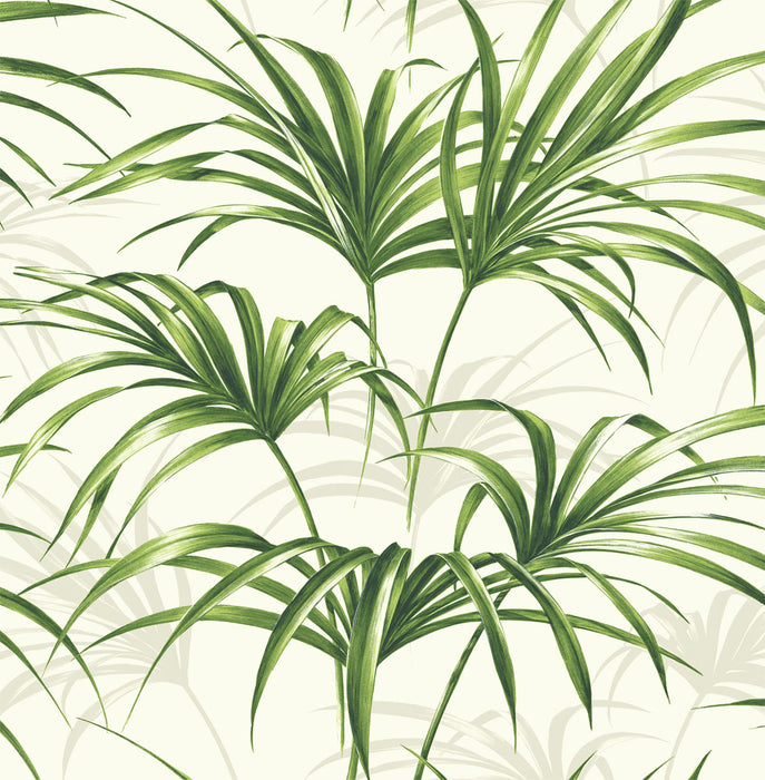 NextWall Tropical Palm Leaf Green And Off-white Wallpaper Sample NW32504