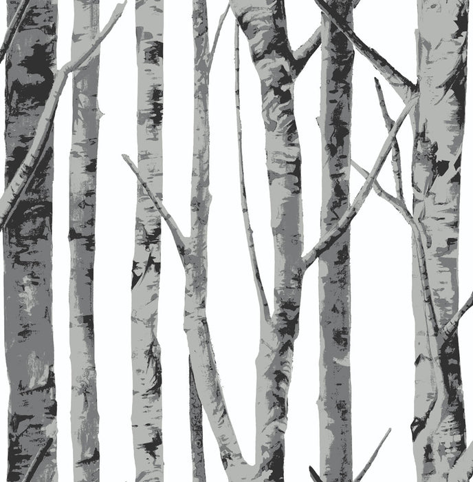 NextWall Birch Trees Monochrome Wallpaper Sample NW34800