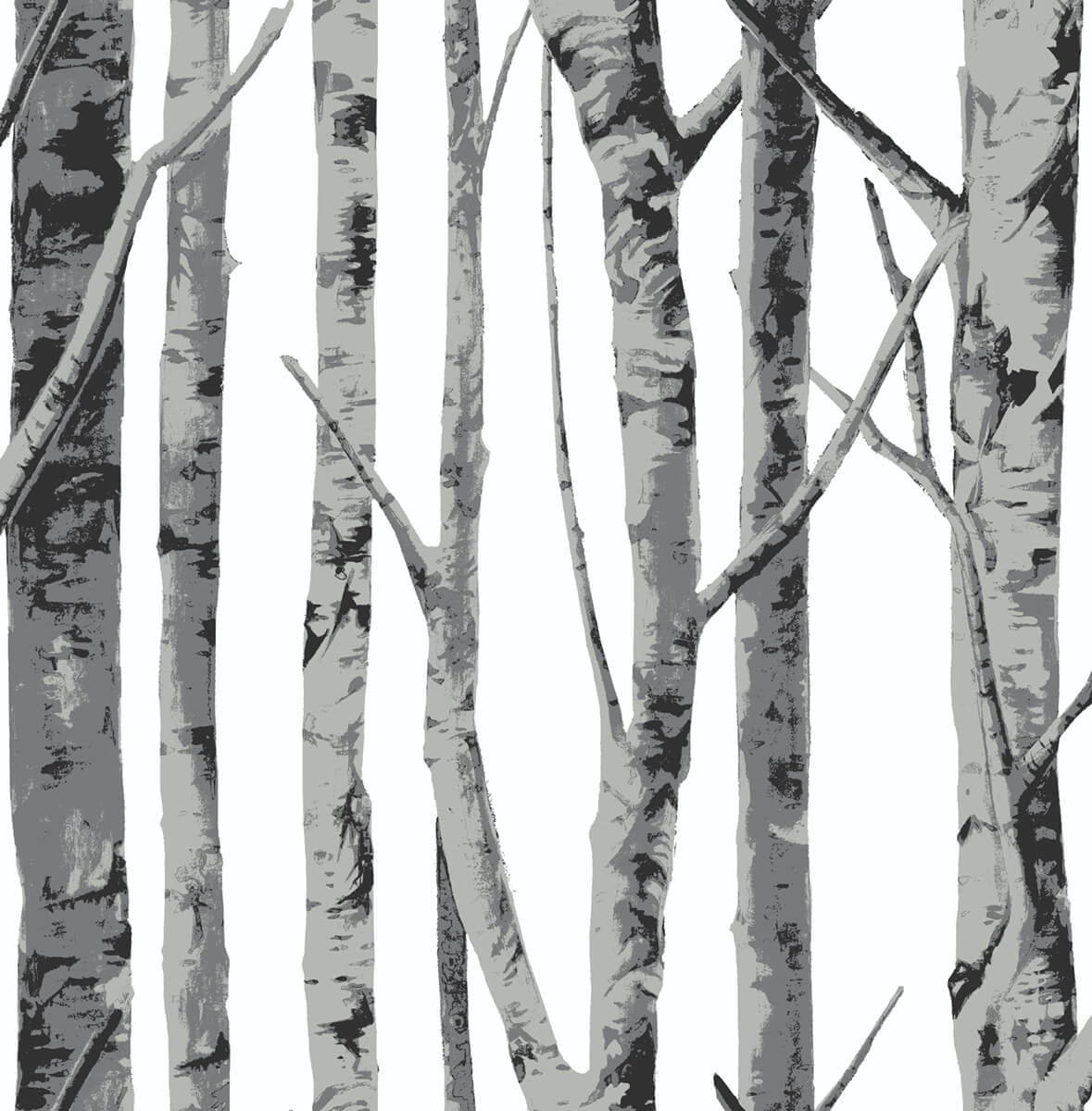 NextWall Birch Trees Monochrome Wallpaper NW34800