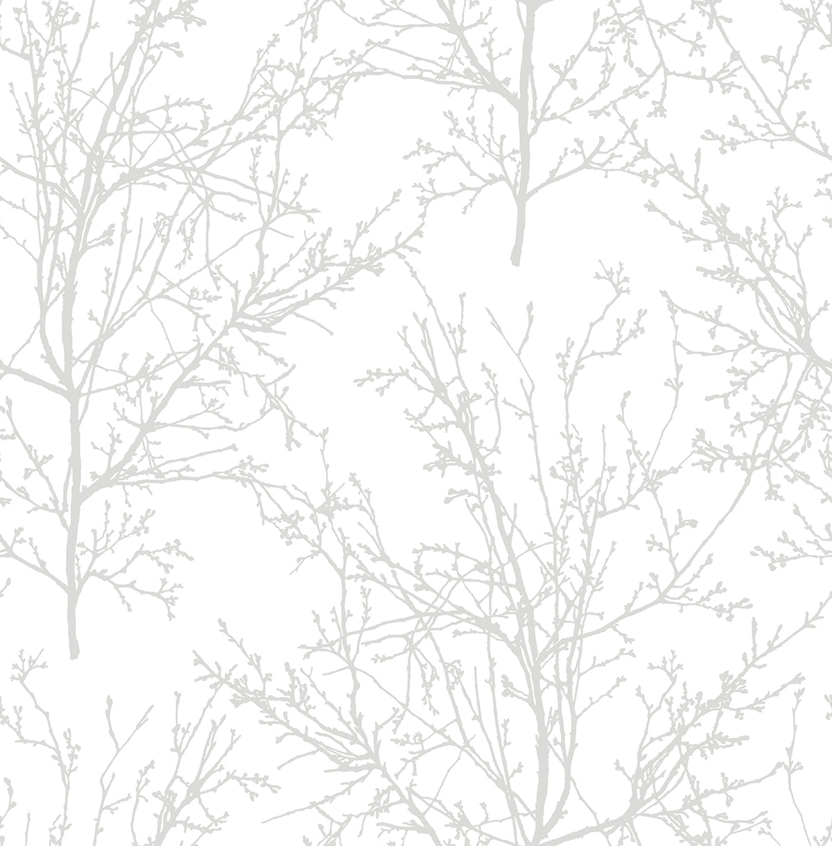 NextWall Tree Branches Pearl Gray Wallpaper NW36118