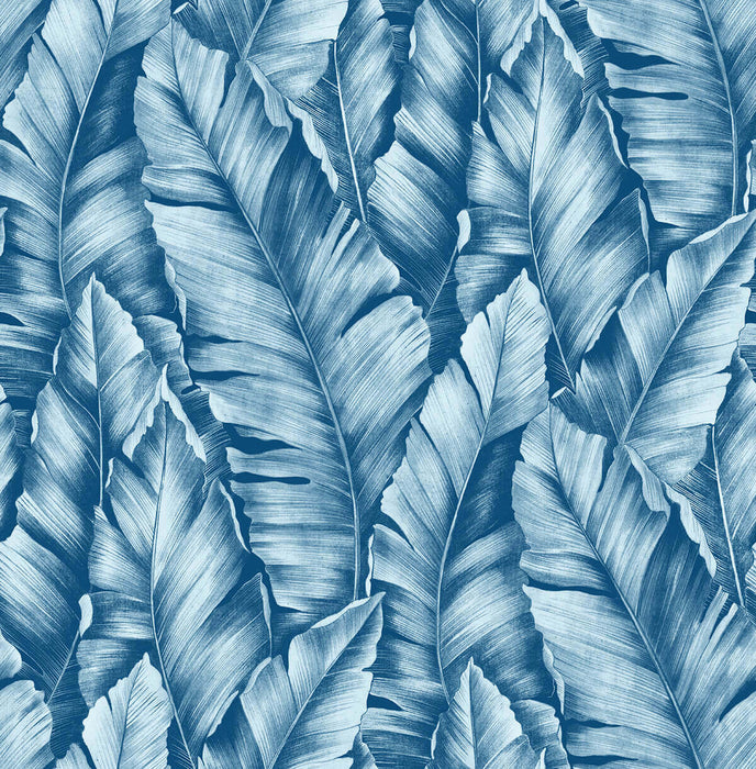 NextWall Baha Banana Leaves Regatta Blue Wallpaper Sample NW37902