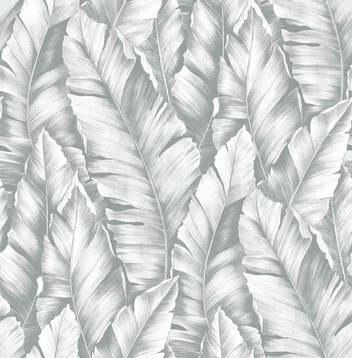 NextWall Baha Banana Leaves Daydream Gray Wallpaper Sample NW37908