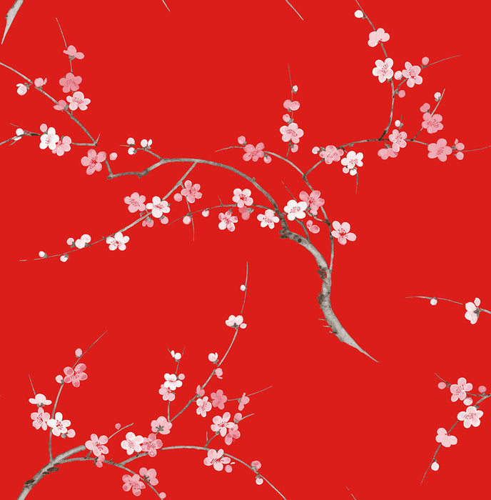 NextWall Cherry Blossom Floral Scarlet & Petal Pink Wallpaper Sample NW38301