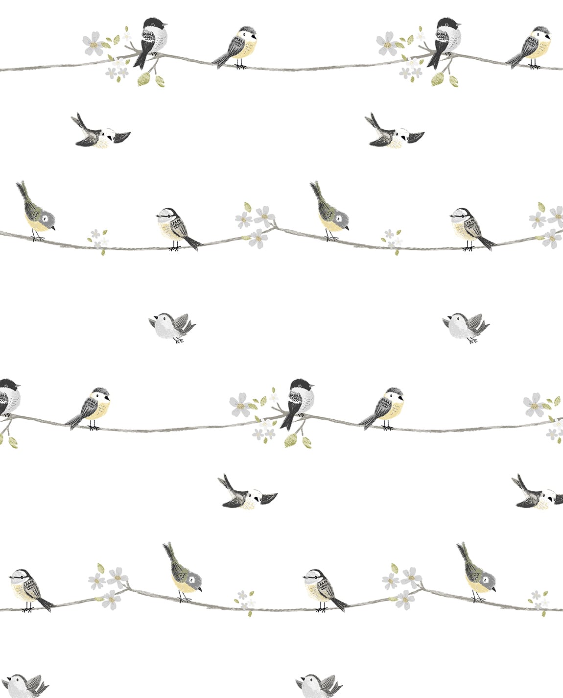 NextWall Sweet Tweet Charcoal & Buttercup Wallpaper NW41600