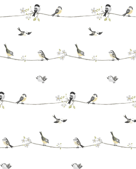 NextWall Sweet Tweet Charcoal & Buttercup Wallpaper Sample NW41600