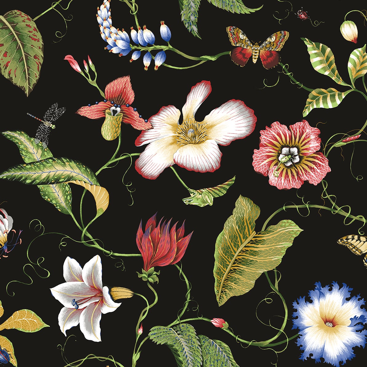 NextWall Summer Garden Floral Jet Black Wallpaper Sample NW43000