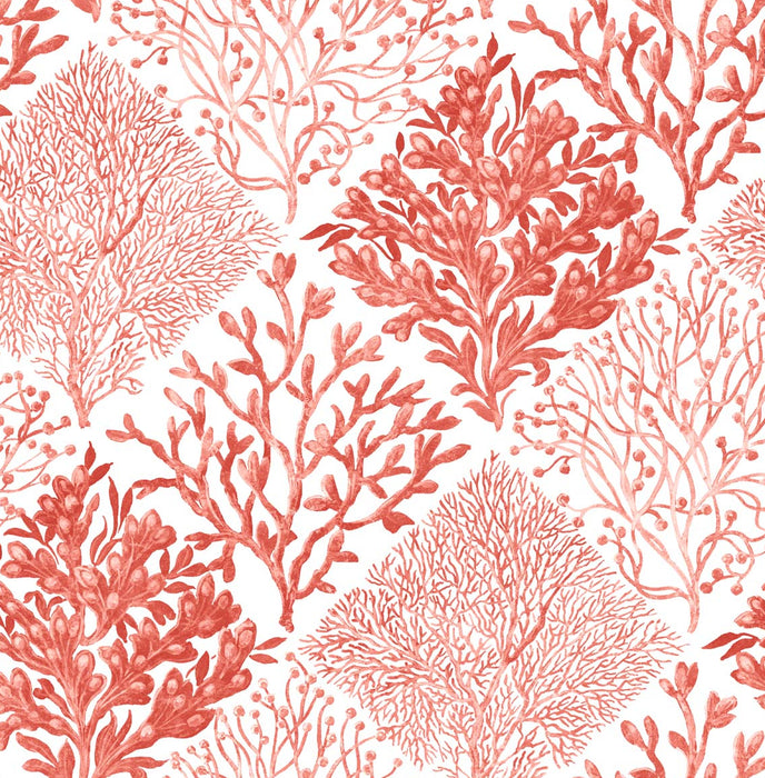 NextWall Seaweed Vermillion Wallpaper Sample NW45804