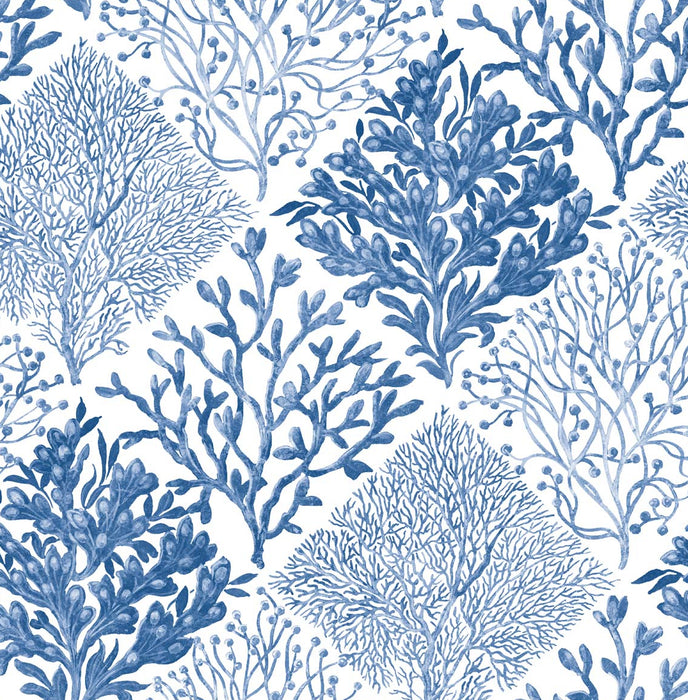 NextWall Seaweed Coastal Blue Wallpaper Sample NW45805