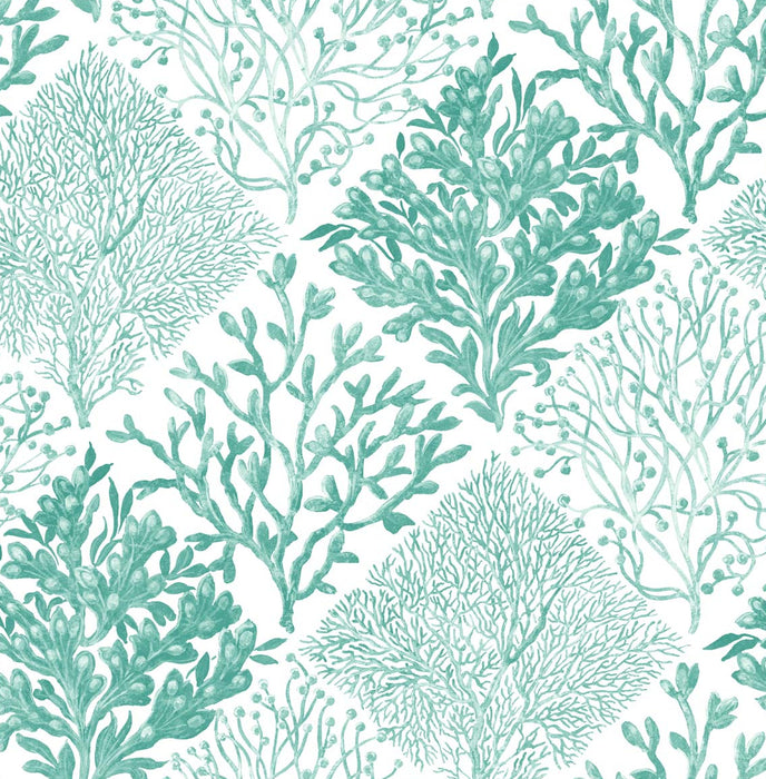 NextWall Seaweed Seaglass Wallpaper Sample NW45806