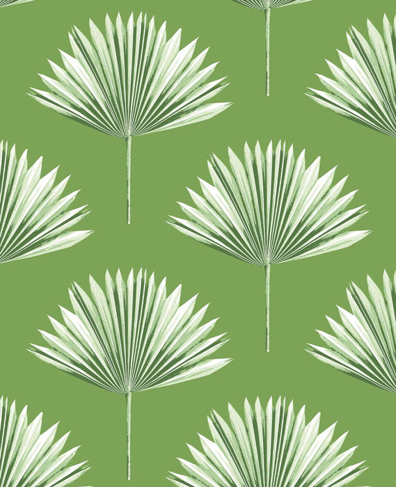 NextWall Tropical Fan Palm Green Sprout Wallpaper Sample NW46504