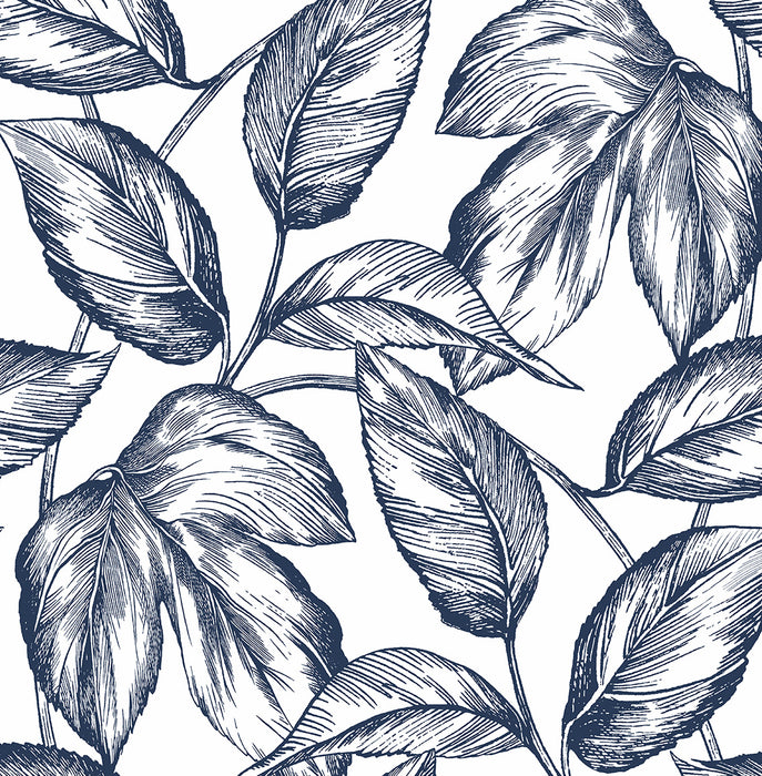 NextWall Sketched Leaves Navy Blue Wallpaper Sample NW46902