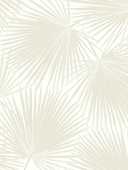 NextWall Aruba Palm Sea Salt Wallpaper Sample NW47710