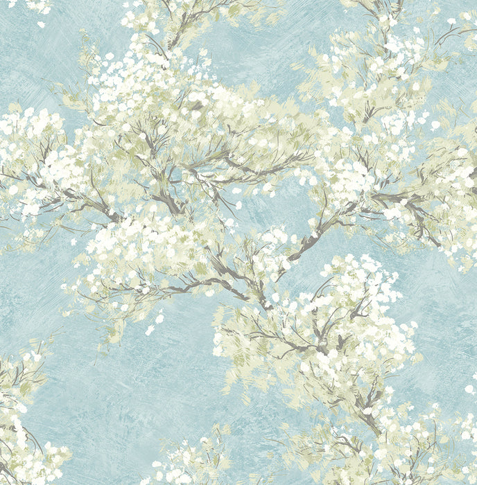 NextWall Cherry Blossom Grove Blue Mist & Green Tea Wallpaper Sample NW50102