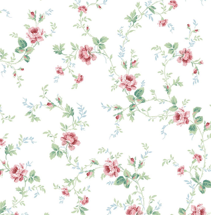 NextWall Blossom Floral Trail Blush & Spearmint Wallpaper NW50401