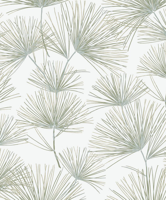 NextWall Pine Needles Aloe Green Wallpaper Sample NW52104