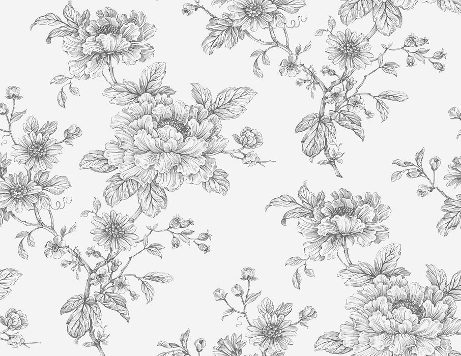 NextWall Sketched Floral Grey Wallpaper Sample NW55708