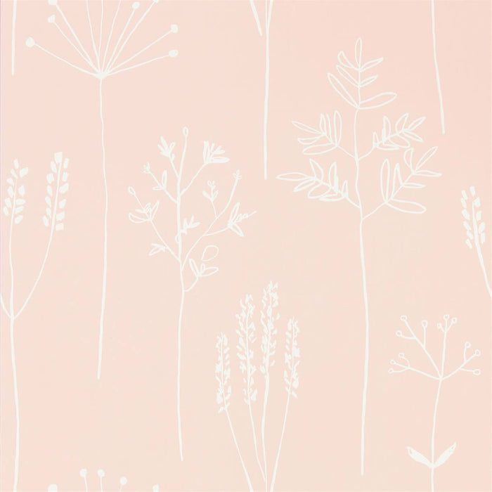 Scion Stipa Blush 112018 Wallpaper Sample NZAW112018