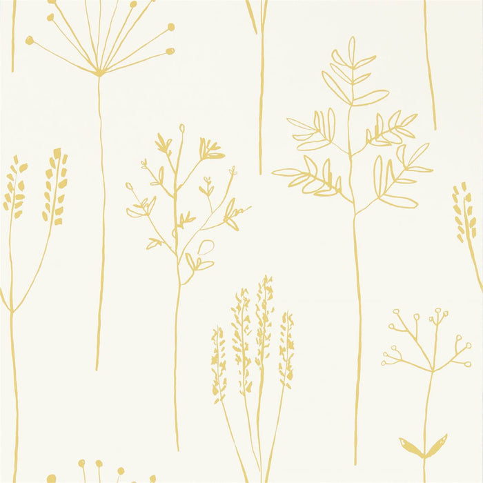 Scion Stipa Honey 112021 Wallpaper Sample NZAW112021