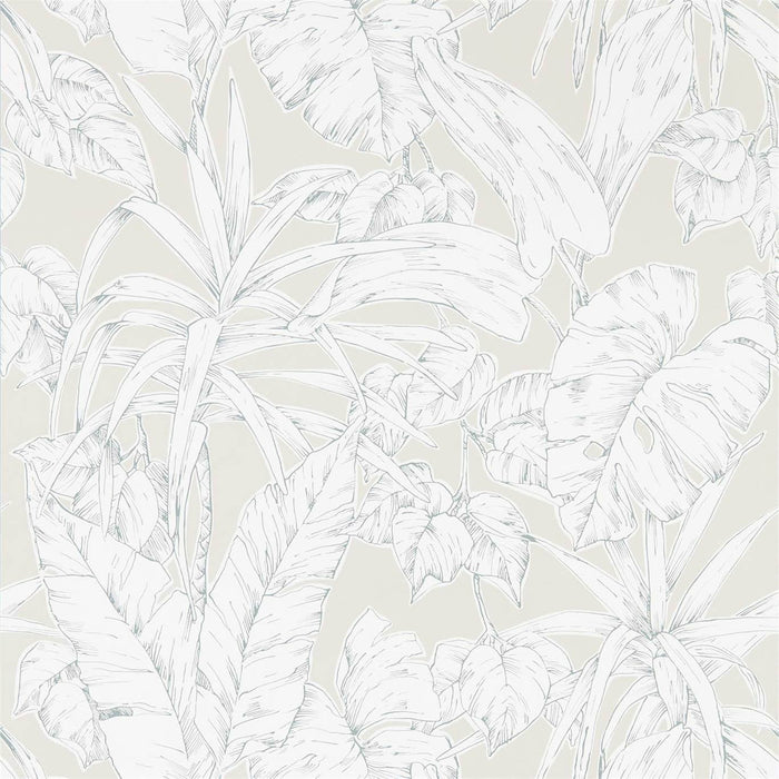 Scion Parlour Palm Palm Raffia 112026 Wallpaper Sample NZAW112026