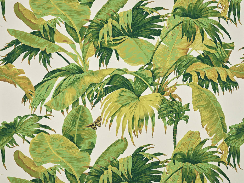 Pierre Frey Bananier Olive Fabric F3719001