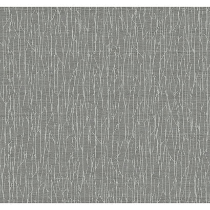 York Woodland Twigs Charcoal Wallpaper OG0548