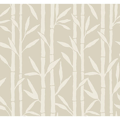 York Bamboo Grove Beige Wallpaper OG0605