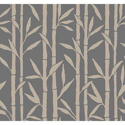 York Bamboo Grove Charcoal Wallpaper OG0607