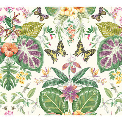 York Tropical Butterflies Orange & Hot Pink Wallpaper ON1600