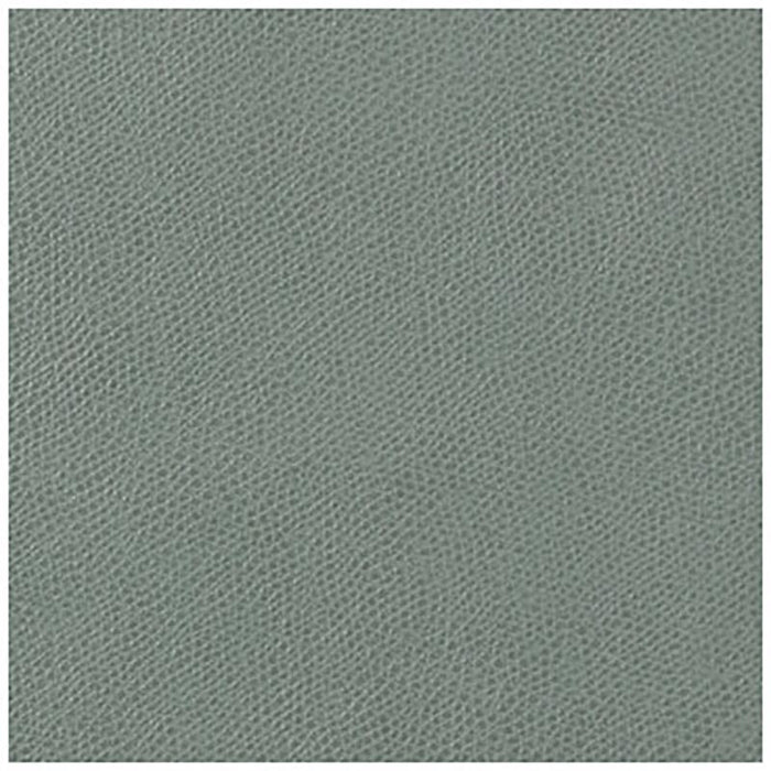 Kravet Contract Ophidian Mineral Fabric Sample OPHIDIAN.113.0