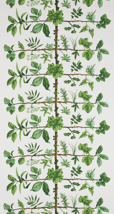 Pierre Frey Espalier Prairie Wallpaper FP169001